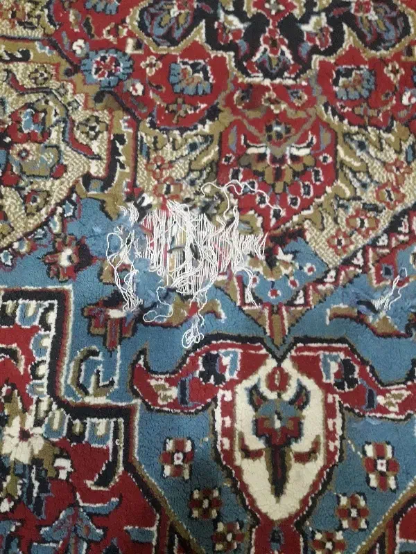 فرش شیش متری|فرش|تهران, شهید رجایی|دیوار