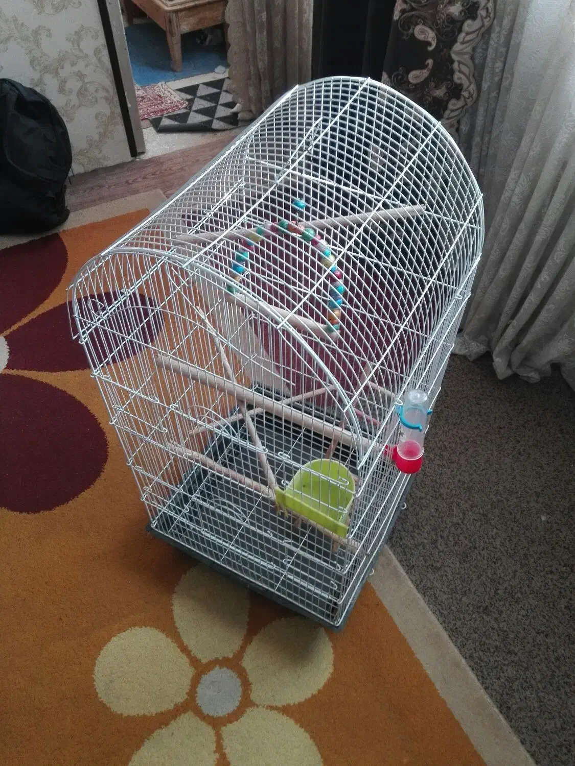 قفس زینتی بزرگ با وسایل کامل توضیحات بخونید|لوازم جانبی حیوانات|فولادشهر, A2|دیوار