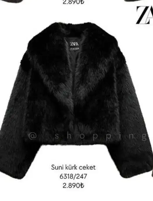 کت خز|لباس|اصفهان, ارغوانیه|دیوار