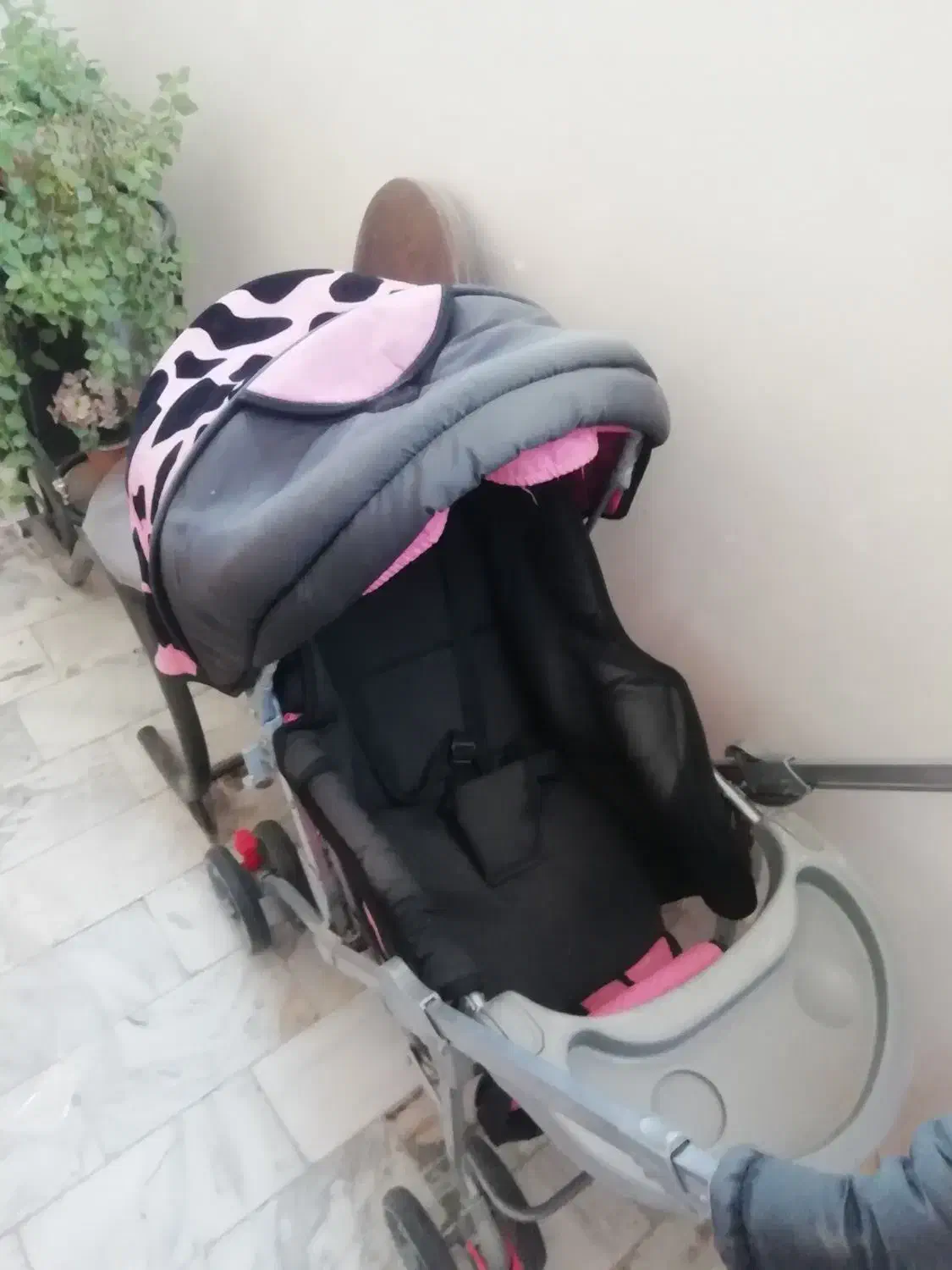 کالسکه، میز|کالسکه و لوازم جانبی|قوچان, |دیوار