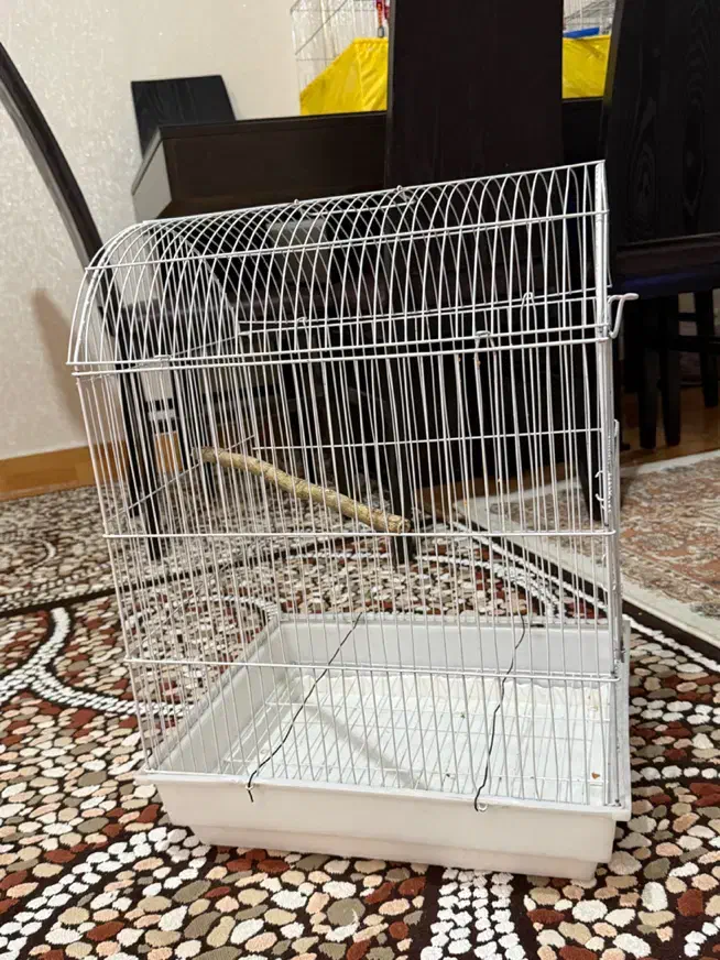 قفس ملنگو|لوازم جانبی حیوانات|ارومیه, |دیوار