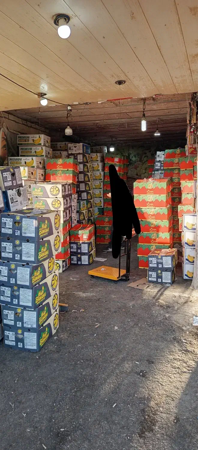 موز درجه یک|عمدهفروشی|یاسوج, |دیوار