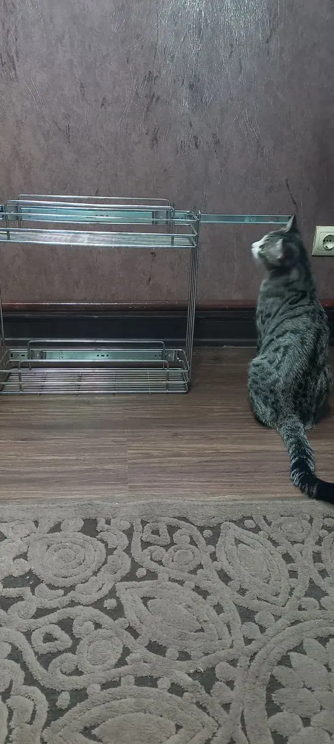 سبد داخل کابینتی|آب‌چکان و نظم‌دهنده ظروف|تبریز, |دیوار