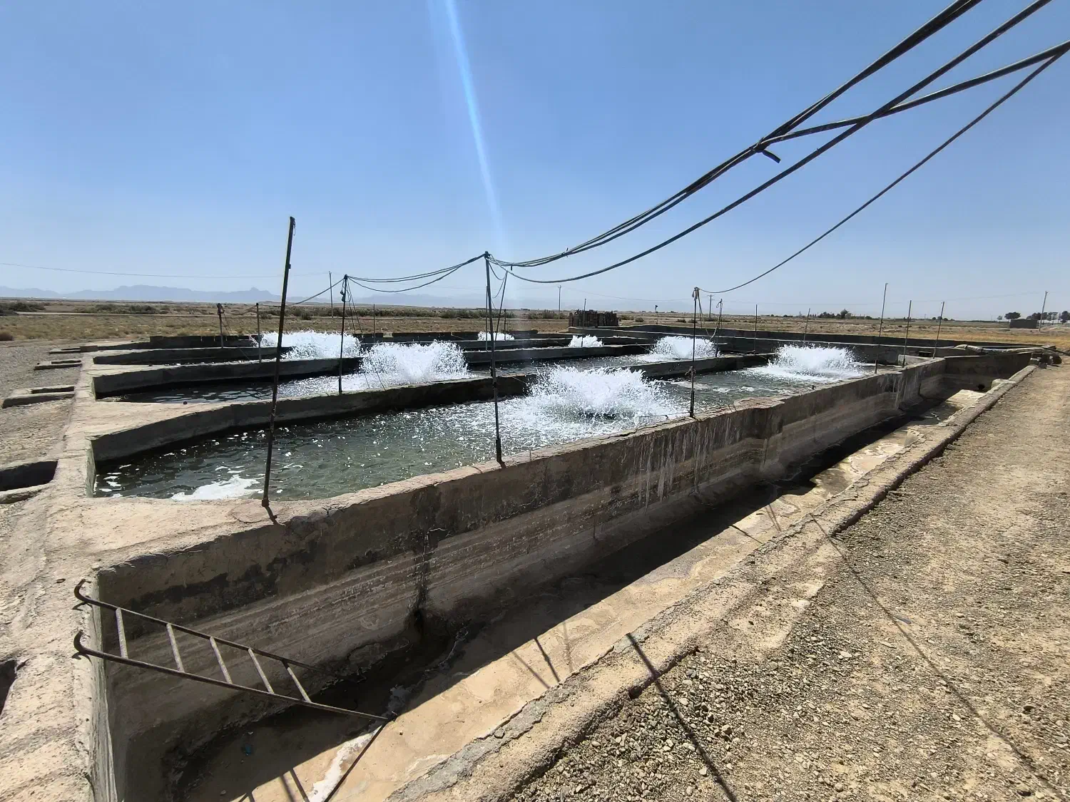 زمین کشاورزی و پرورش ماهی فقط 30 میلیارد تومن|فروش دفتر صنعتی، کشاورزی، تجاری|اژیه, |دیوار