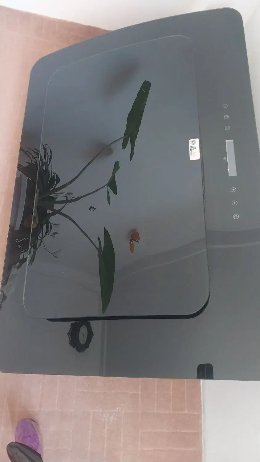 هود سالم|هود|ویلکیج, |دیوار