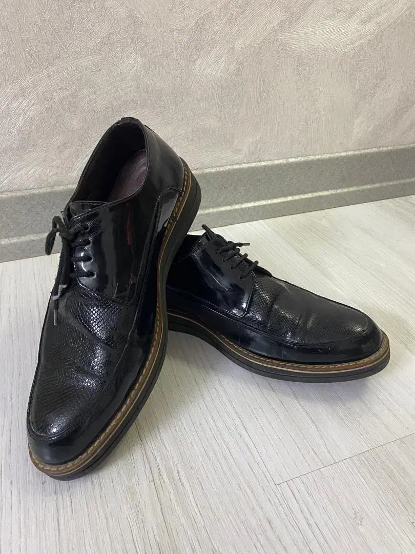 کفش مردانه ترک|کیف، کفش، کمربند|سمنان, |دیوار