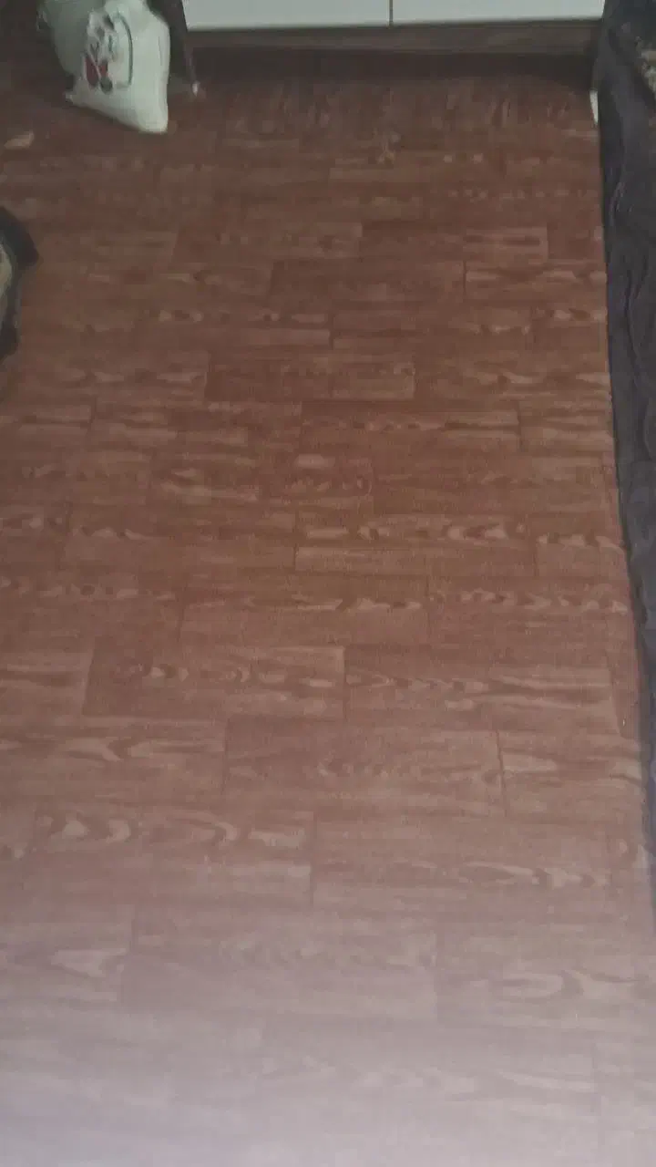 موکت|موکت|مبارکه, |دیوار