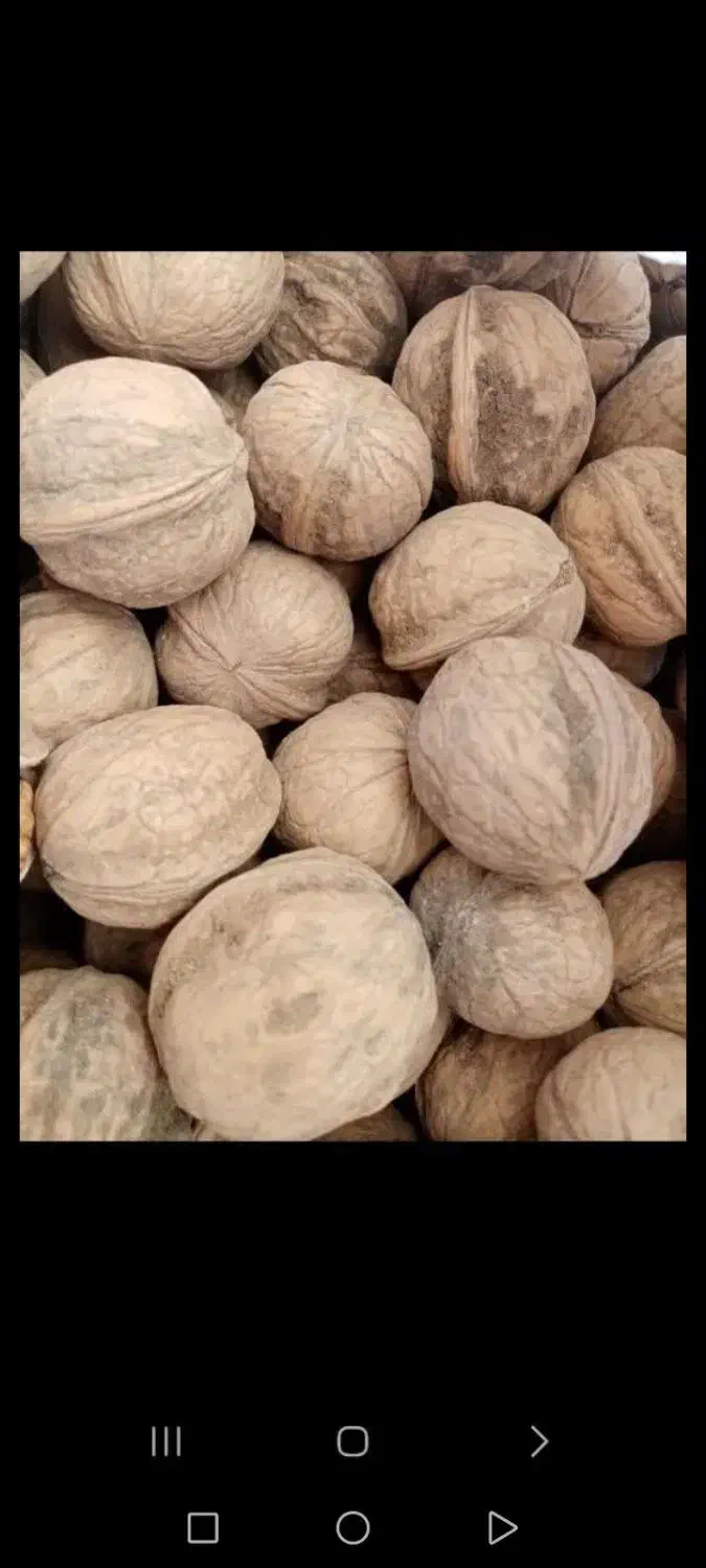 گردو قاهان|خوردنی و آشامیدنی|قاهان, |دیوار