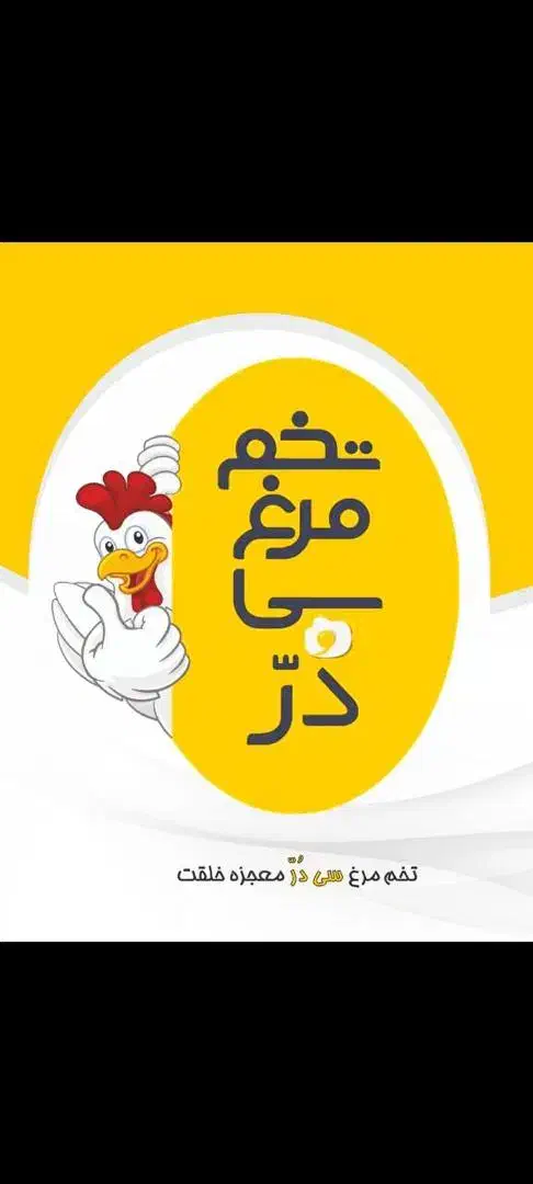 پخش عمده تخم مرغ صمدپور|خوردنی و آشامیدنی|ارومیه, |دیوار