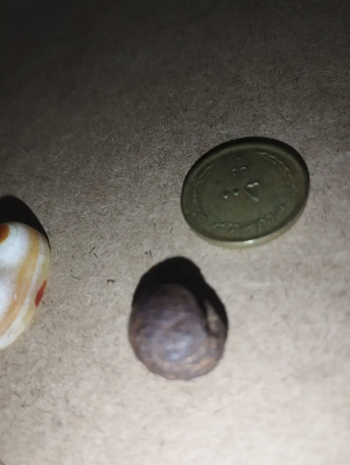 هبهاب|بدلیجات|خرمآباد, |دیوار