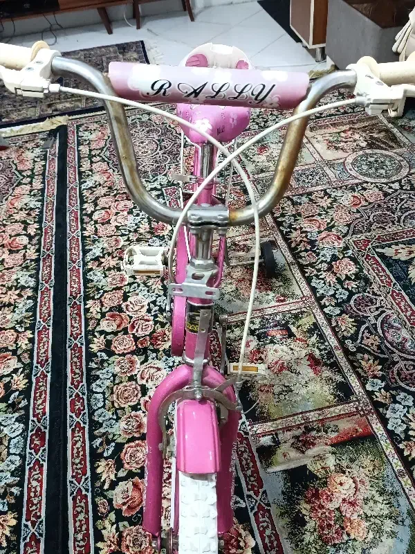 ۲عدد دوچرخه صورتی|دوچرخه، اسکیت، اسکوتر|ری, شهرری|دیوار