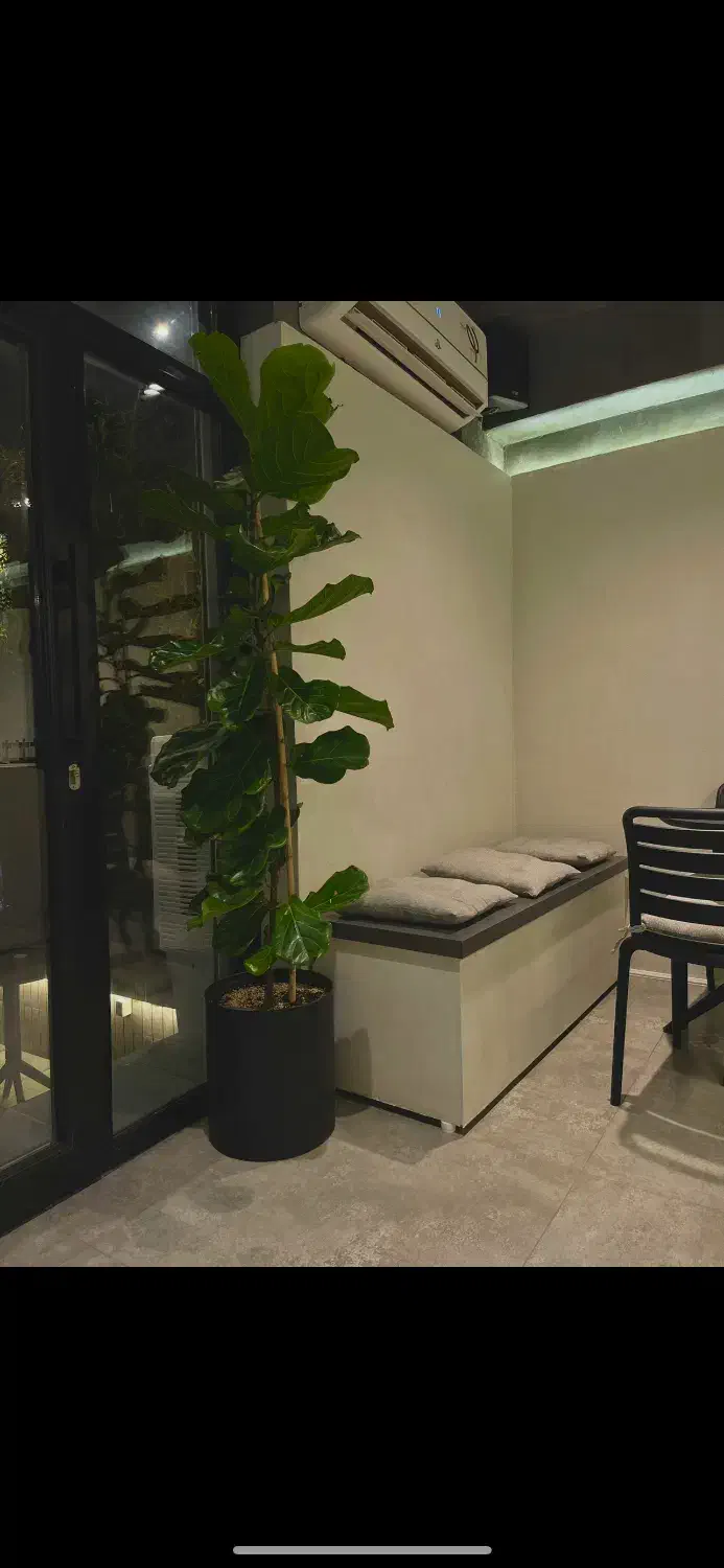 صندوق دار/باریستا|استخدام خدمات فروشگاه و رستوران|بوشهر, |دیوار