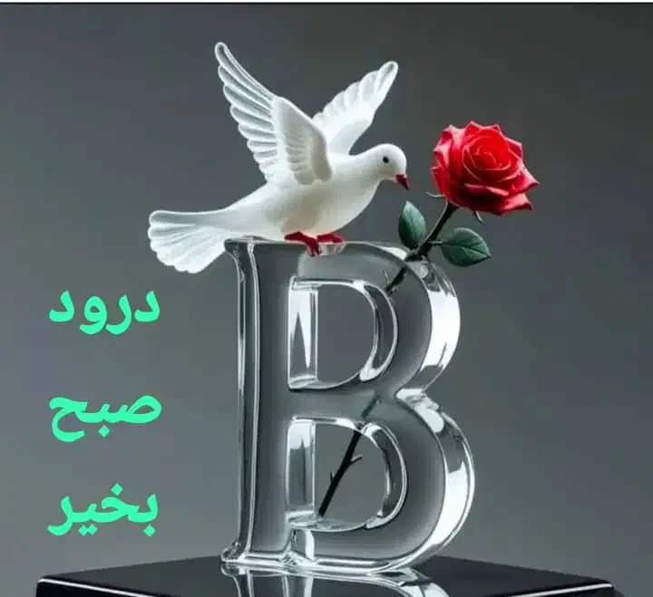 دعوت|کارت هدیه و تخفیف|تهران, آسمان|دیوار