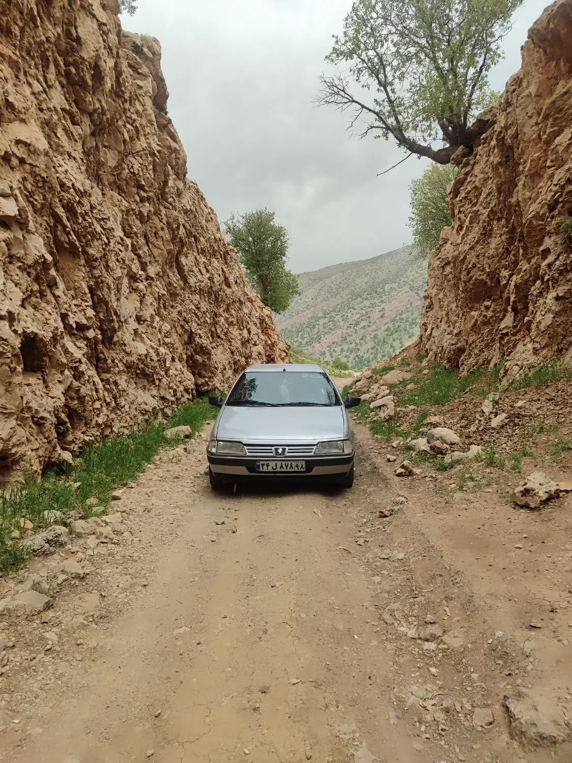 پژو 405|خودرو سواری و وانت|دهلران, |دیوار