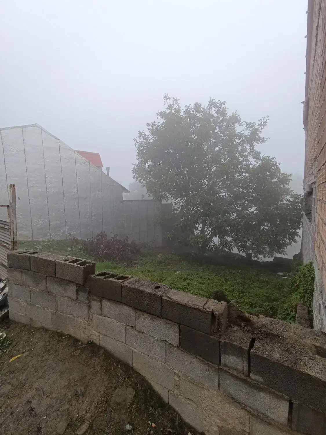 ۱۸۶متر زمین مسکونی با پروانه و سند(آلاشت کارمزد)|فروش زمین و ملک کلنگی|آلاشت, |دیوار