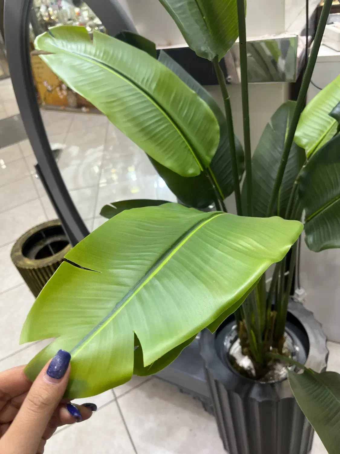 درختچه پرنده بهشتی|گل مصنوعی|اراک, |دیوار