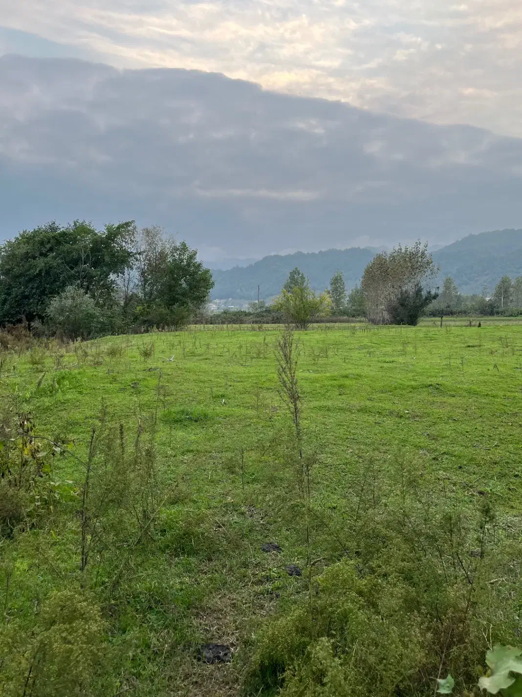 فرصتی مناسب برای سرمایه گذاری در زمین کشاورزی|فروش زمین و ملک کلنگی|لوندویل, |دیوار