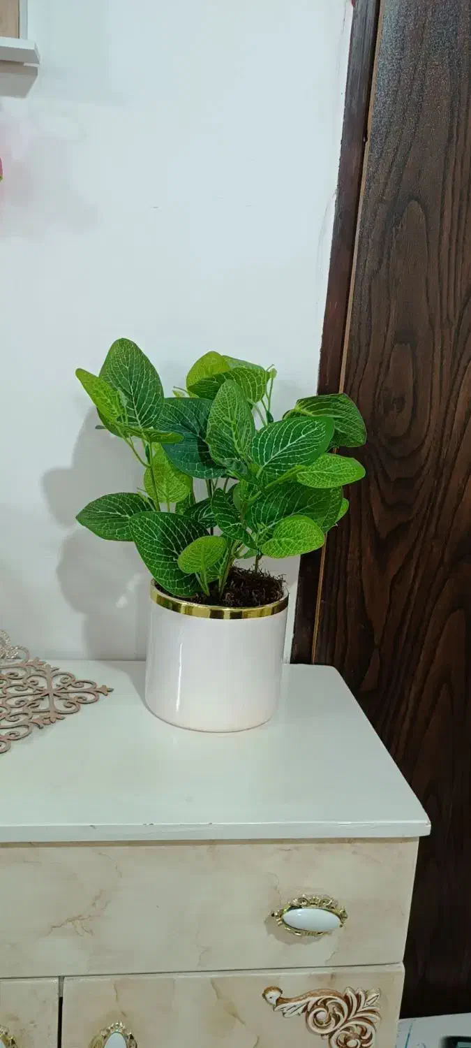 گل مصنوعی|گل مصنوعی|سرپل ذهاب, |دیوار