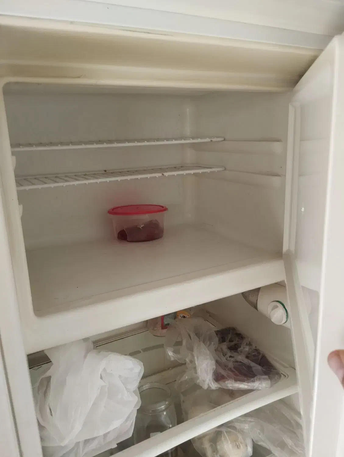 یخچال|یخچال و فریزر|رودهن, |دیوار