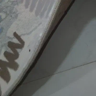 فرش|فرش|نیشابور, شهید بهشتی|دیوار