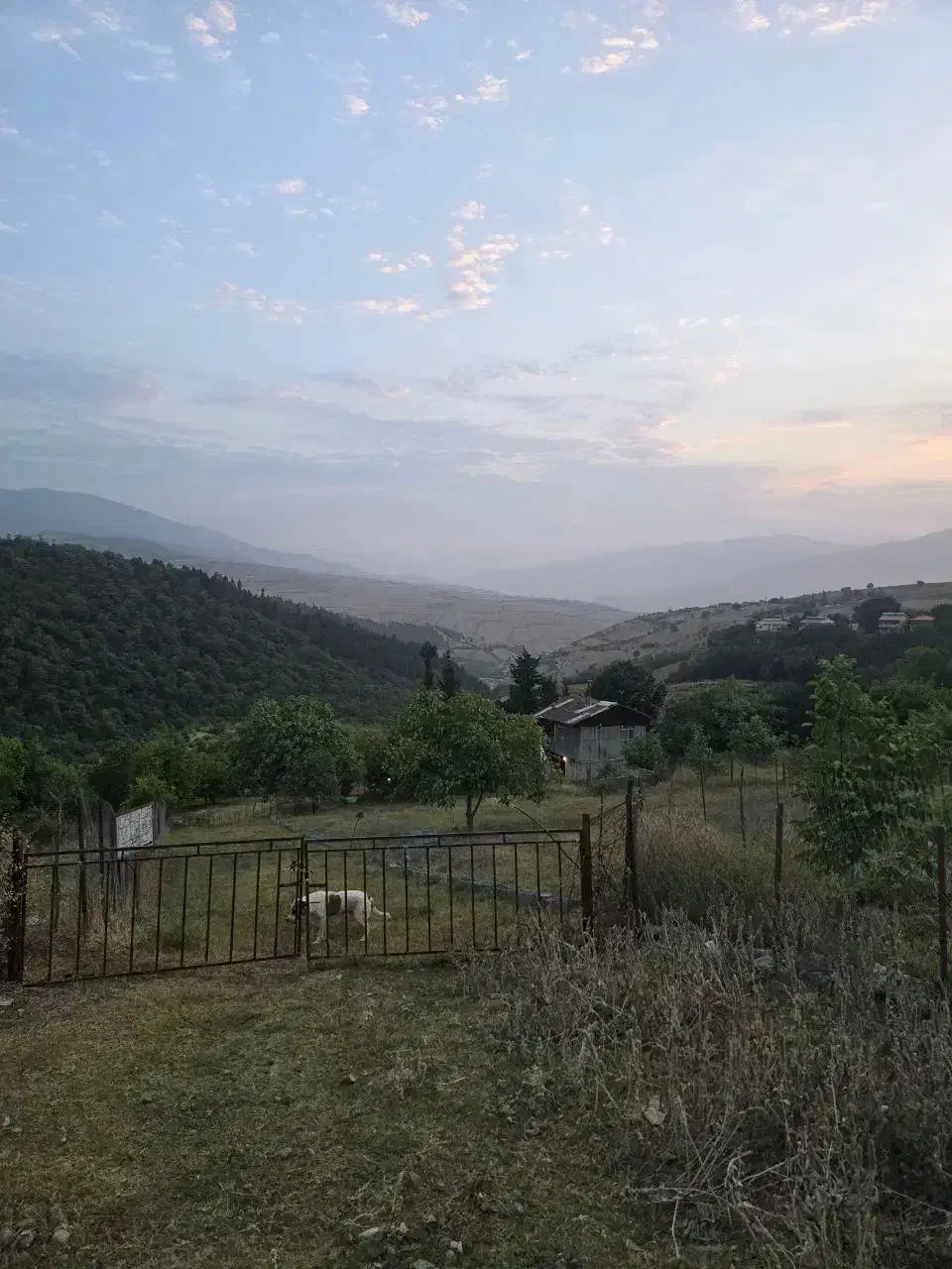 فروش زمین مسکونی باغی (سند تک برگ)|فروش زمین و ملک کلنگی|توتکابن, |دیوار