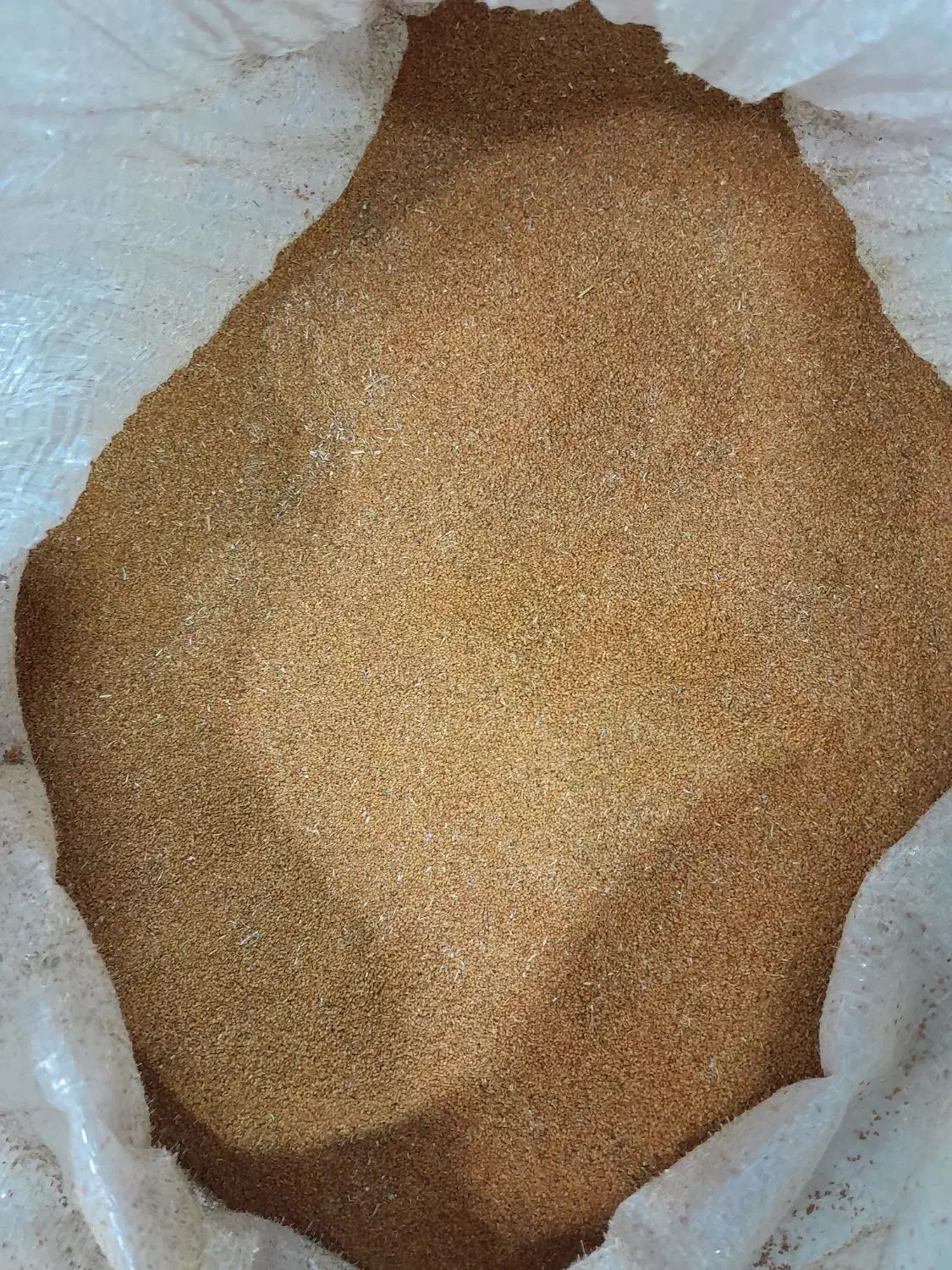 خاکشیر امسالی قیمت ۱۰۰|خوردنی و آشامیدنی|تربتحیدریه, شهید بهشتی|دیوار