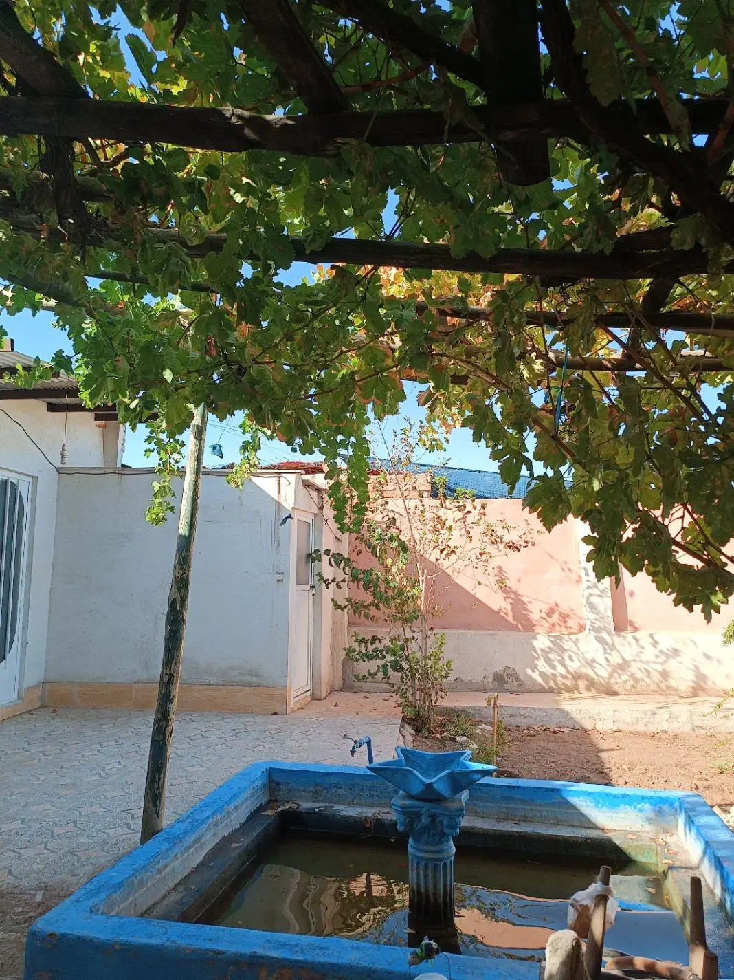 خونه باغ یحیی آباد|فروش خانه و ویلا|کاشان, مزرعه نو|دیوار