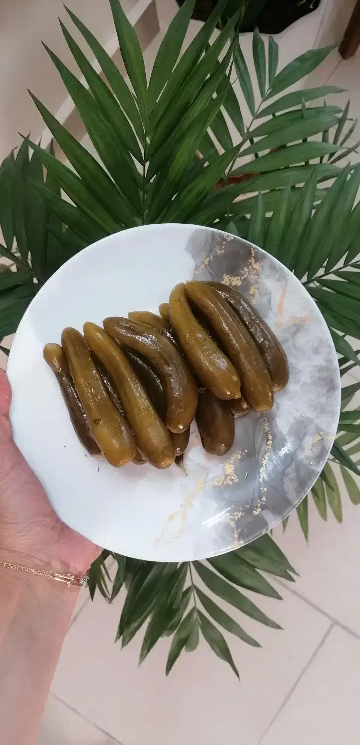 خیارشور ارگانیک و خانگی و عسل های طبیعی و خالص|خوردنی و آشامیدنی|قم, زنبیل آباد|دیوار