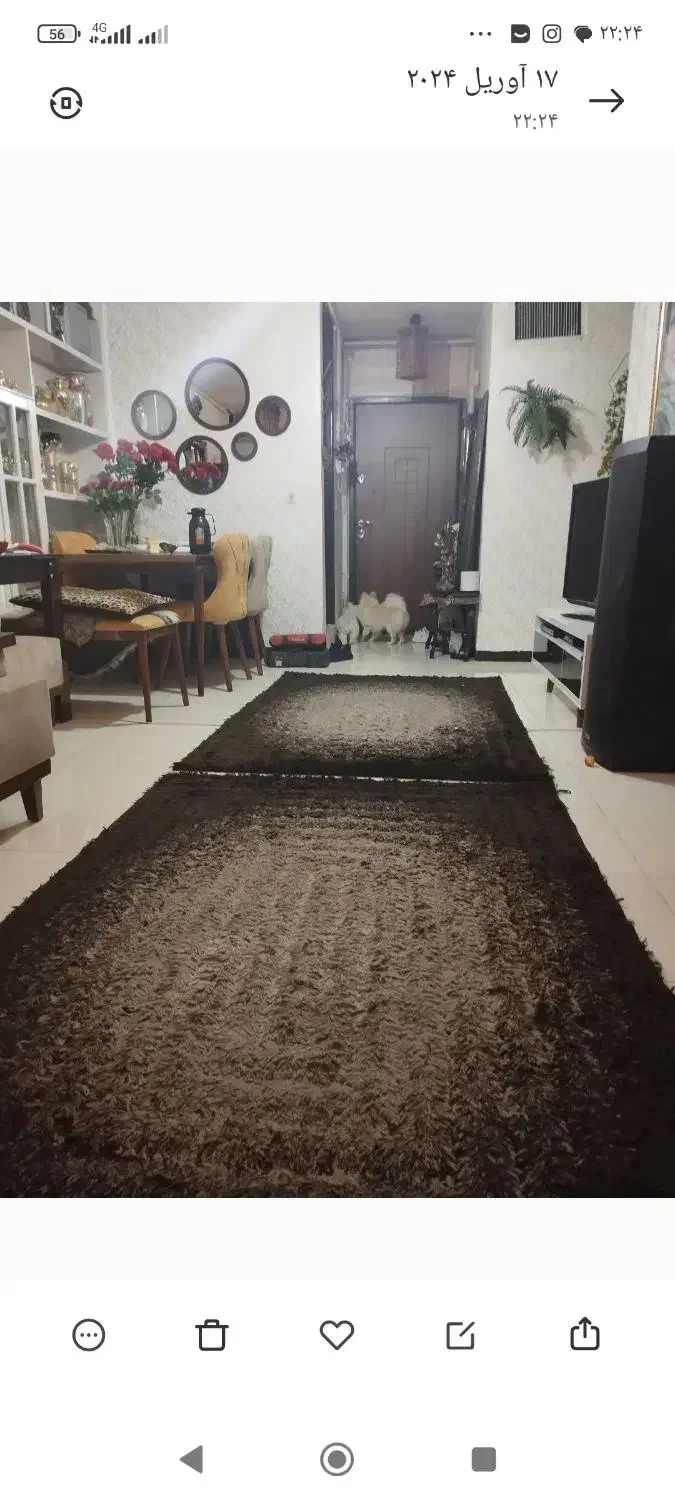 قالیچه چهارمتری|فرش|اصفهان, شاه پسند|دیوار