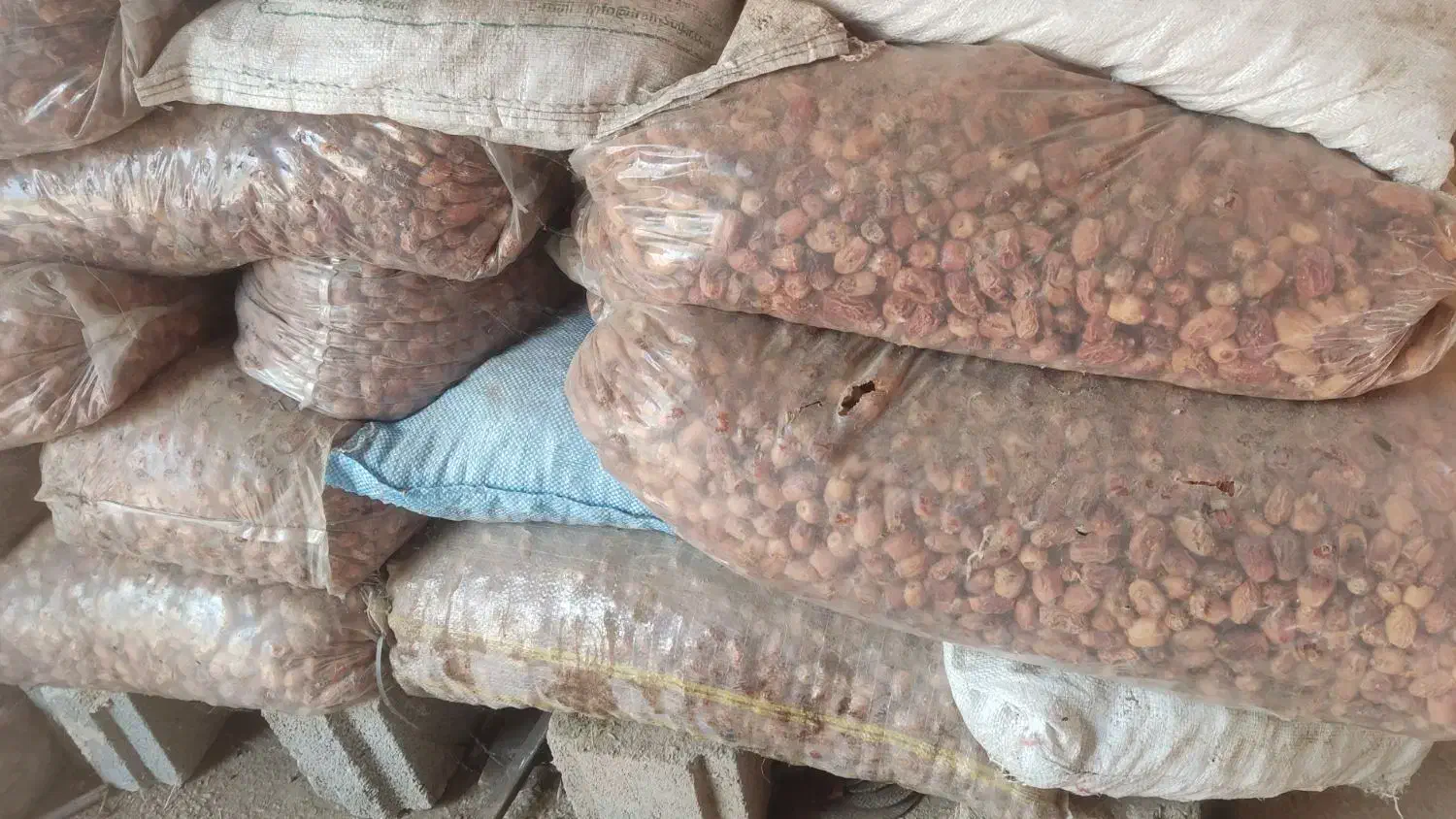 خرما ضایعات زاهدی|خوردنی و آشامیدنی|صوفیان, |دیوار