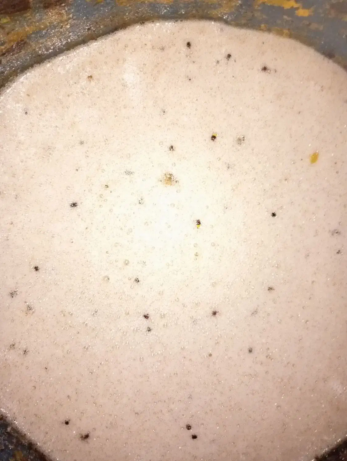 فروش عسل کنار 50کیلو به بالا|خوردنی و آشامیدنی|داراب, |دیوار