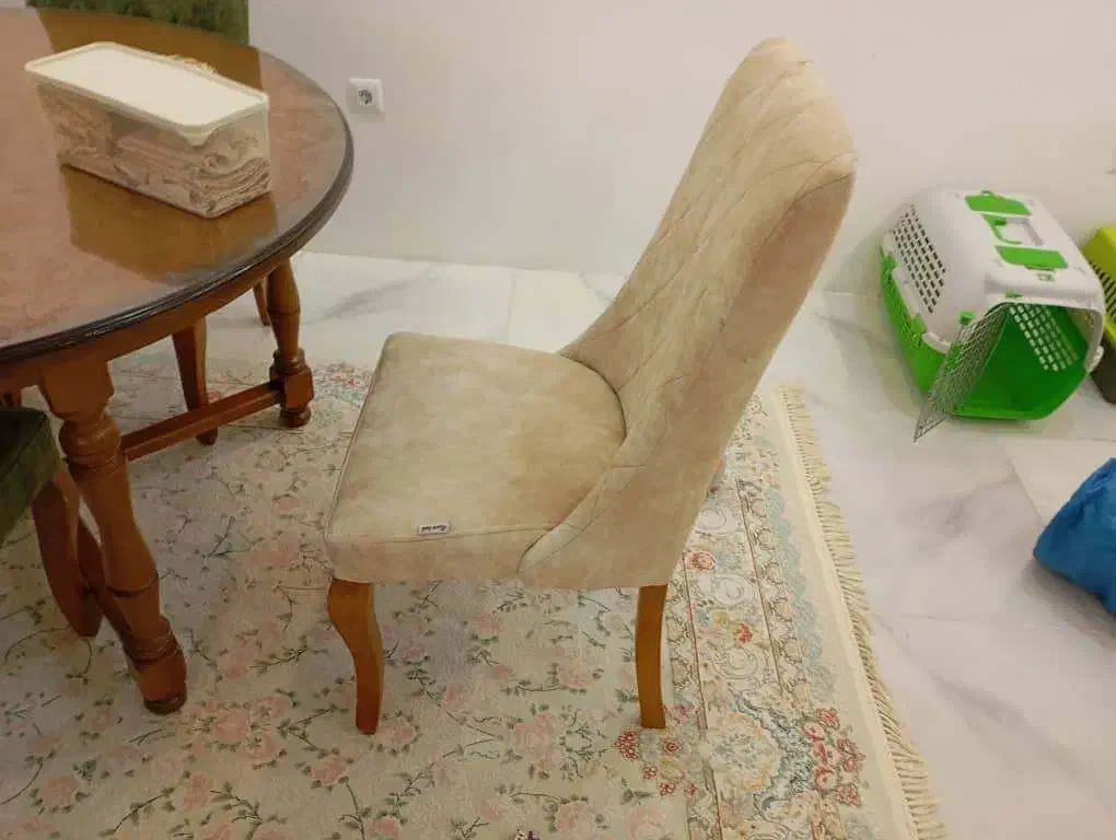 مبلمان|مبلمان خانگی و میز عسلی|گراش, |دیوار