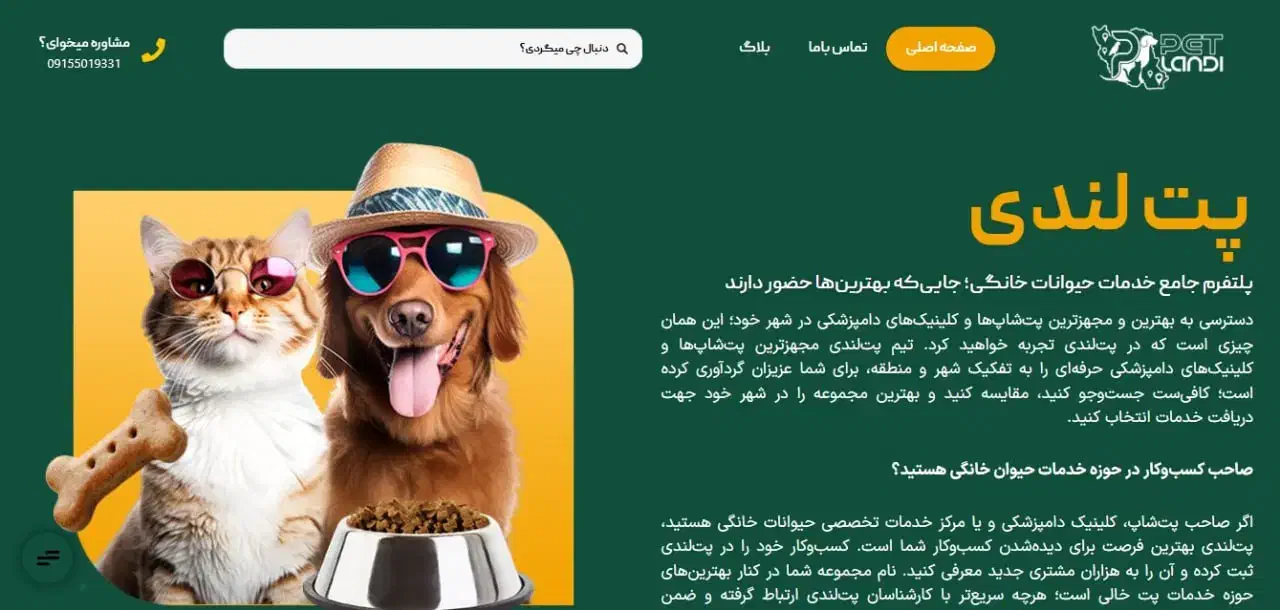 فرصت طلایی طراحی سایت حرفه‌ای - مدت محدود|خدمات رایانه‌ای و موبایل|تبریز, |دیوار