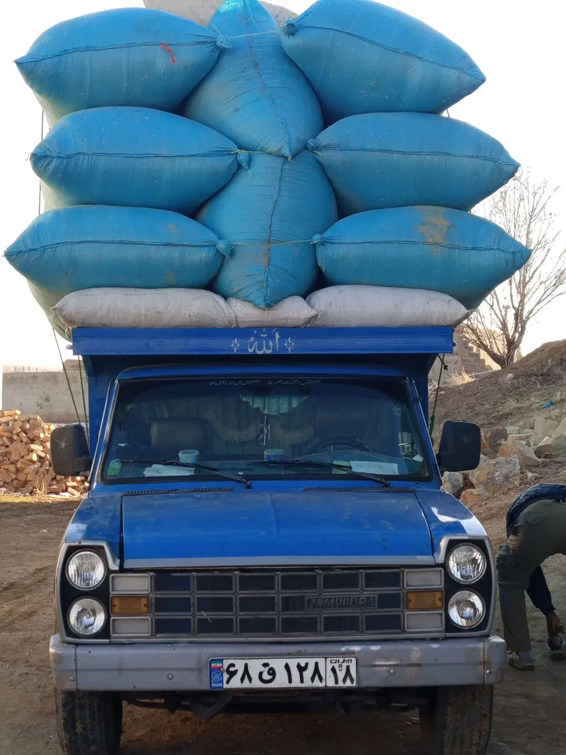 کاه‌گندم‌دیم|لوازم جانبی حیوانات|گل تپه, |دیوار