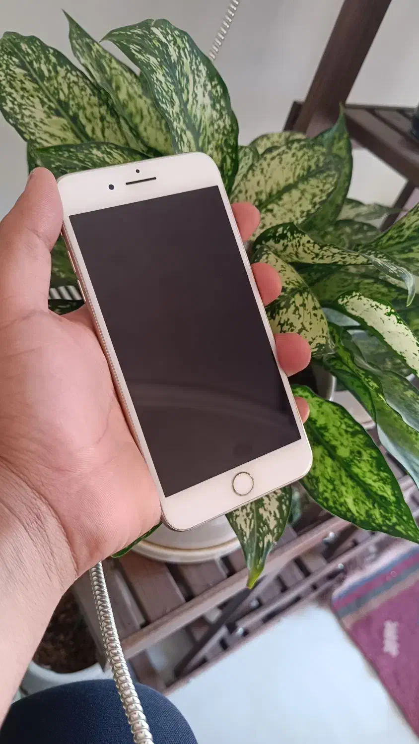IPhone 7plus و A5 2017|موبایل|شاهرود, |دیوار