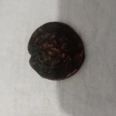 سکه عتیقه تاریخی|کلکسیون اشیاء عتیقه|زنجان, |دیوار