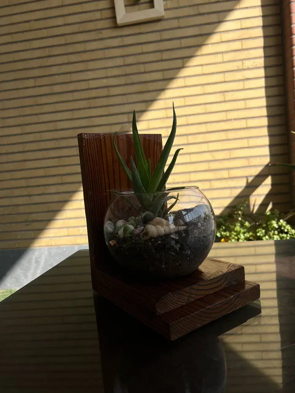 گلدان دست ساز با چوب اصل|گل و گیاه طبیعی|تهران, افسریه شمالی|دیوار