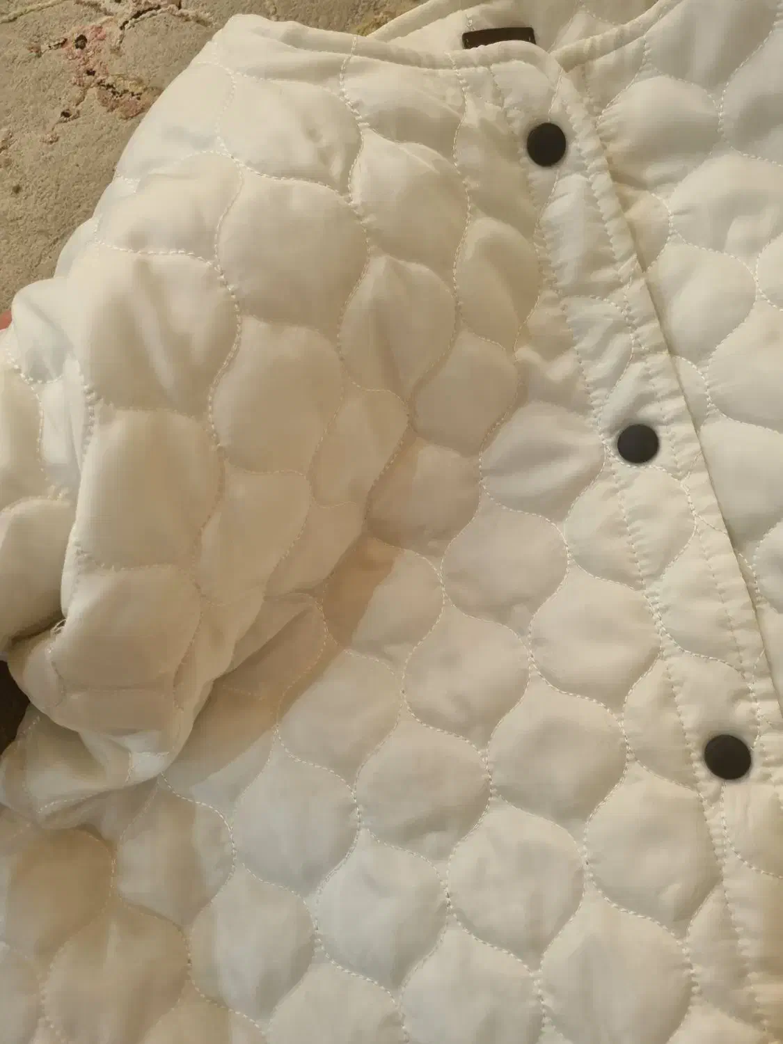 کاپشن زنانه|لباس|شیراز, کلاهدوز|دیوار