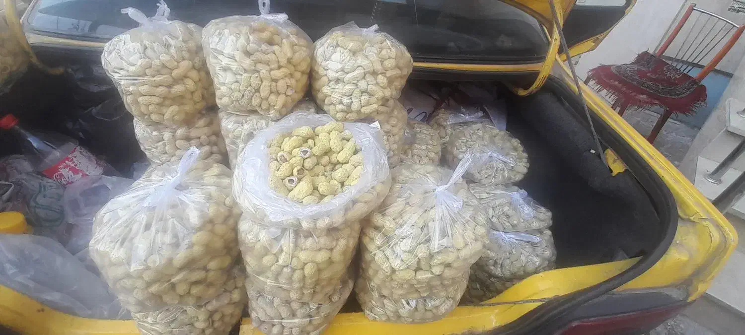 فروش بادام زمینی تازه درجه ۱|حراج|نسیم‌شهر, |دیوار