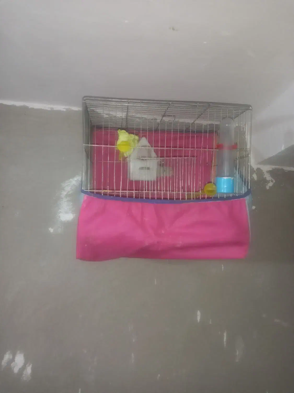 ماهی واکواریوم پمپ تسویه بخاری قفس|ماهی|قزوین, |دیوار