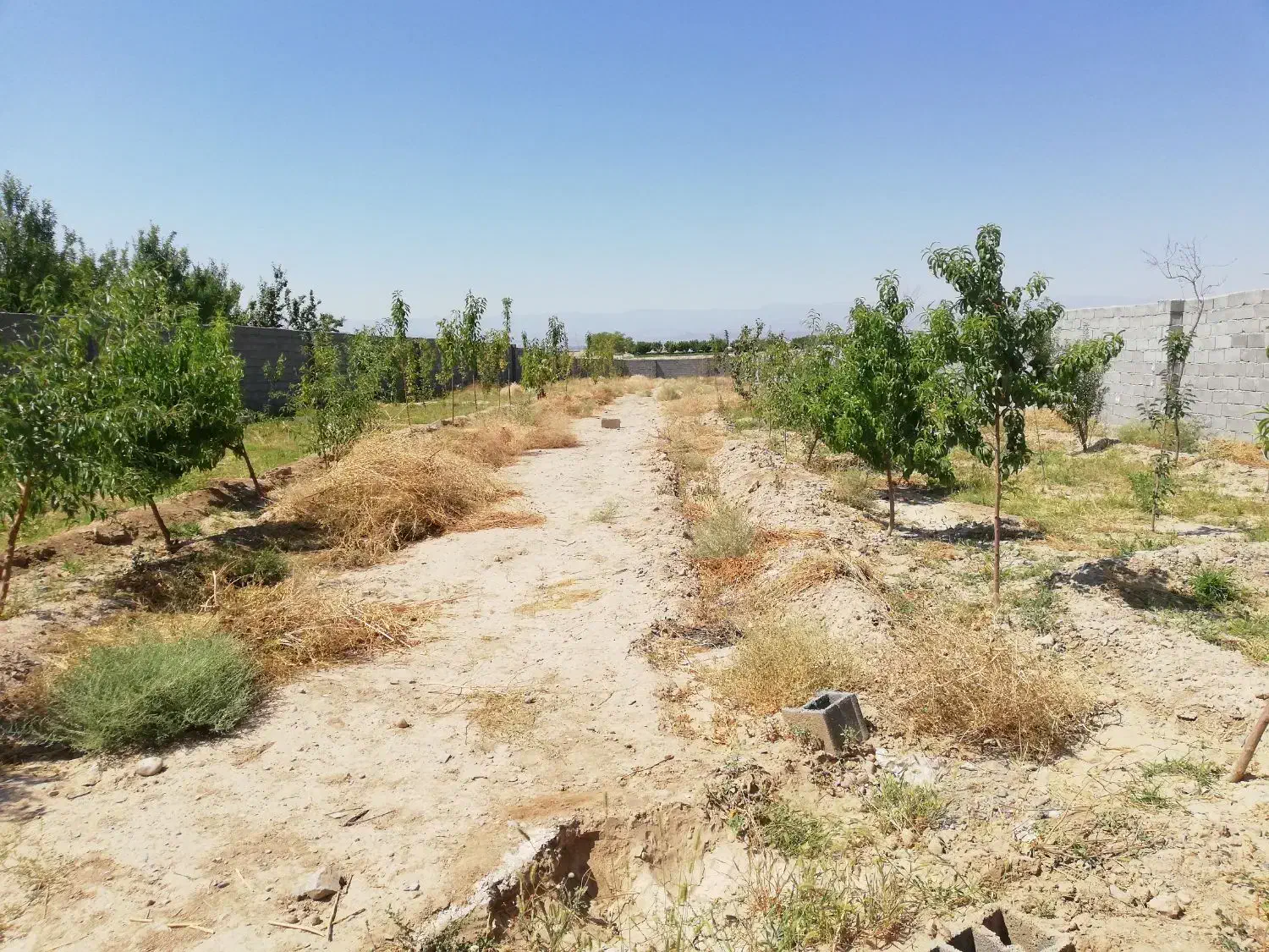 باغ|فروش زمین و ملک کلنگی|مشهد, تبادکان|دیوار