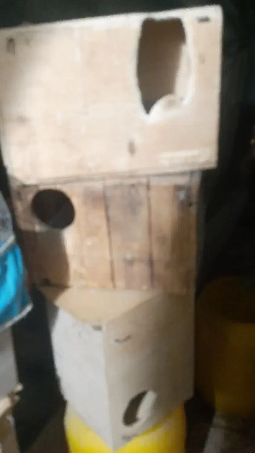 لونه|لوازم جانبی حیوانات|بندرعباس, |دیوار