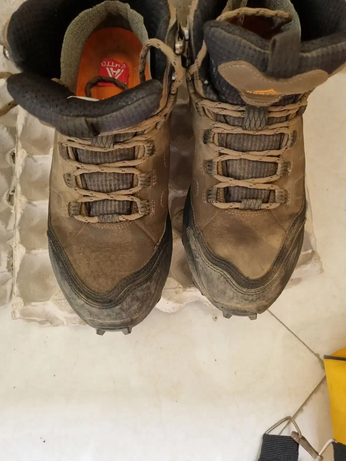 کفش کوه|کیف، کفش، کمربند|فومن, |دیوار