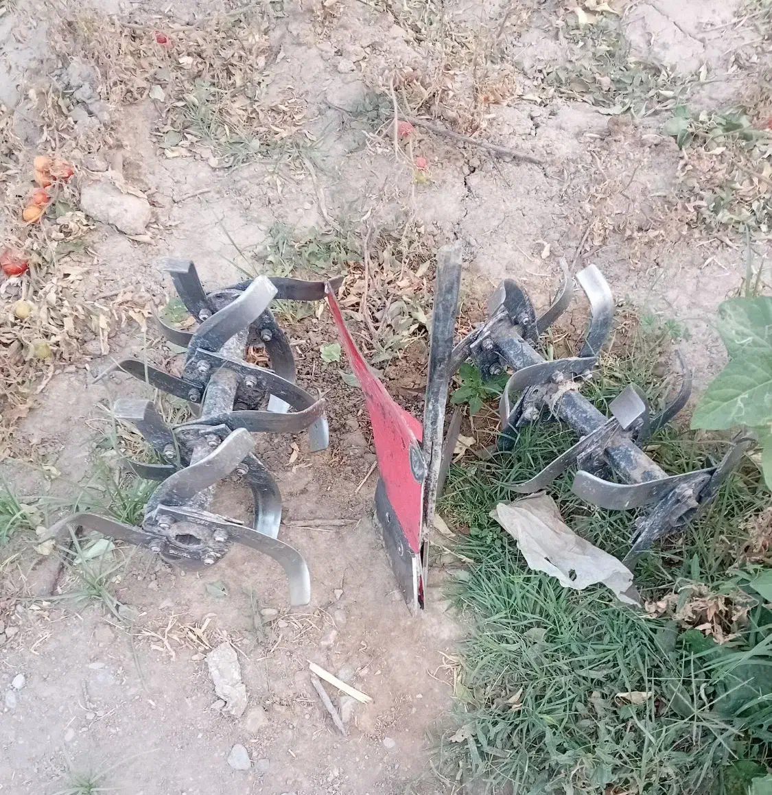 علف زنی، شخم زنی، کشت گل و گیاه، تیلر زن زعفران|خدمات باغبانی و درختکاری|مشهد, توس (بلوار توس)|دیوار