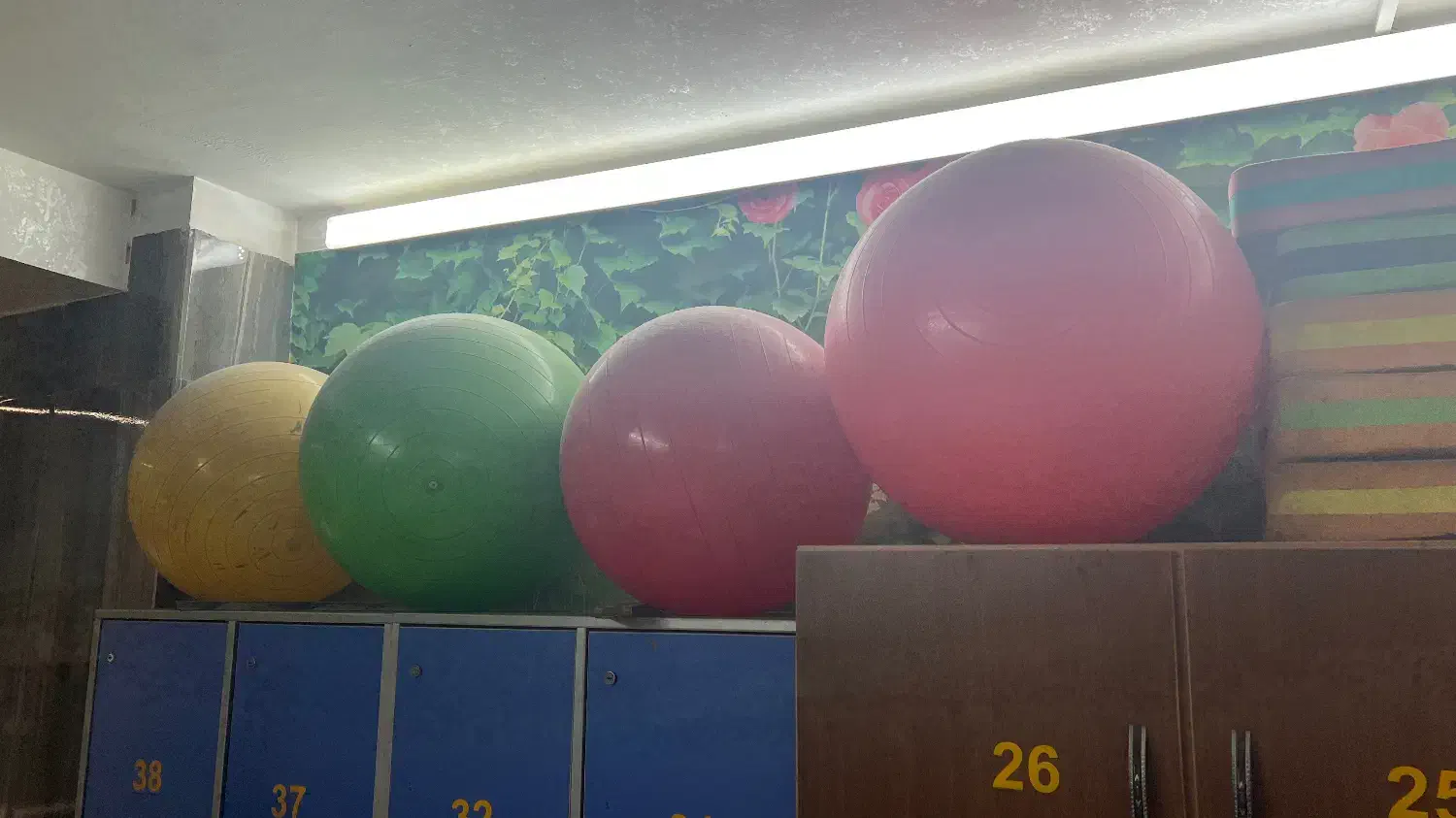 طناب بتل روپ ،استپ ورزشی،توپ پیلاتس طنابتی ار ایکس|تجهیزات ورزشی|قدس, شهرقدس|دیوار