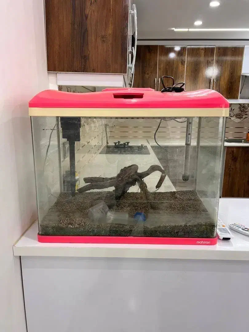 آکواریوم ماهی|ماهی|پارسیان, |دیوار