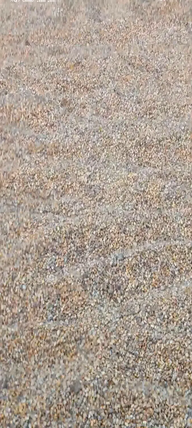 ذرت دانه (دان)|عمده‌فروشی|دینور, |دیوار