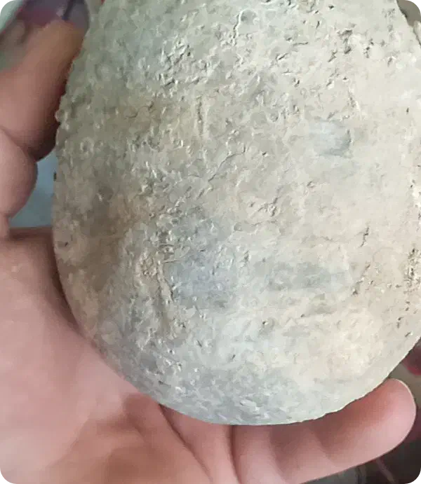 انواع سنگهای کلکسیونی وشهاب،عقیق،جاسپر|کلکسیون اشیاء عتیقه|تکاب, |دیوار