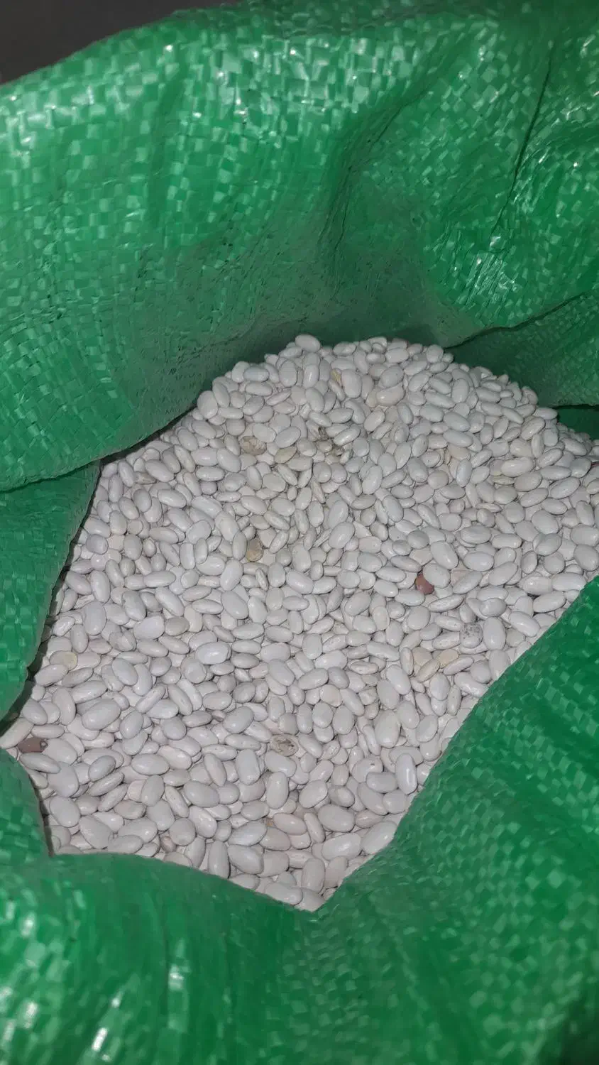 لوبیا خوش پخت|خوردنی و آشامیدنی|کوهدشت, |دیوار