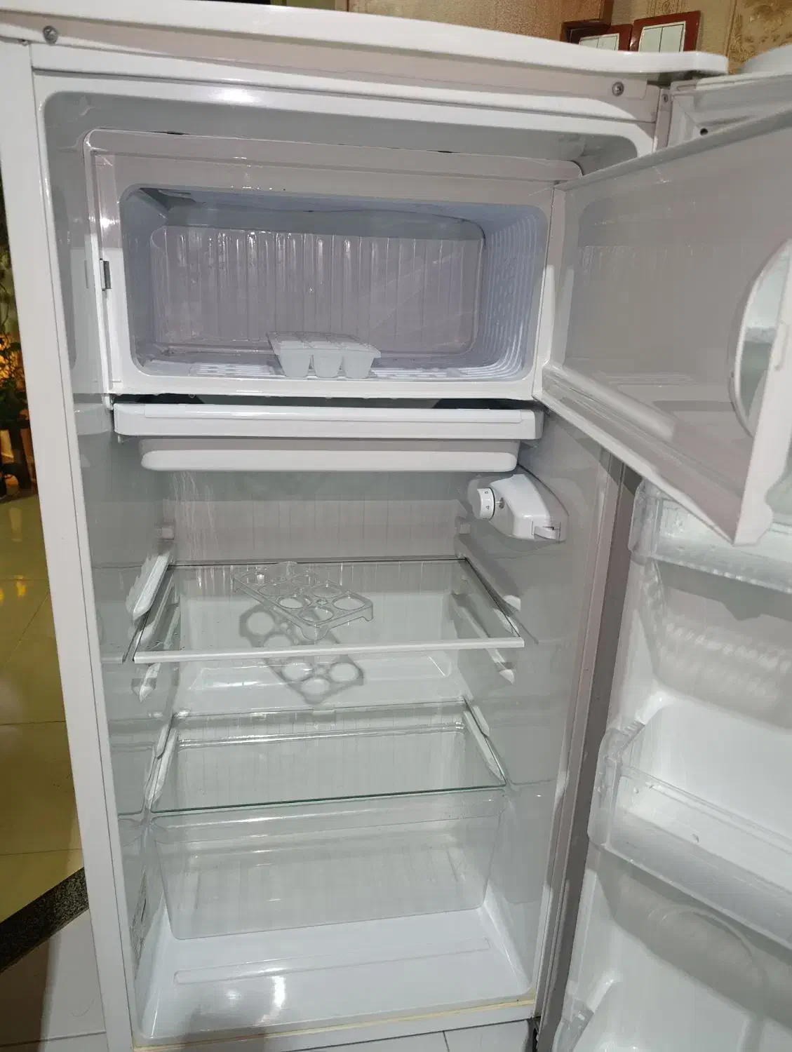 یخچال|یخچال و فریزر|مشهد, تربیت (صدف)|دیوار